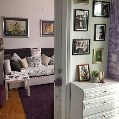 Apartman Lavanda Krapina Zewnętrze zdjęcie