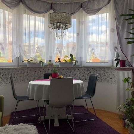 Apartman Lavanda Krapina Zewnętrze zdjęcie